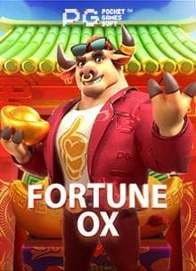 bets esportes